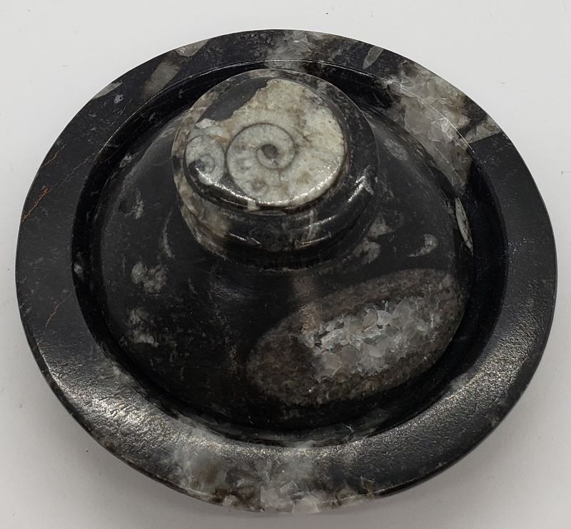 Bowl, Orthoceras Fossil w/lid 4in. diameter