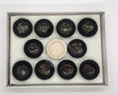 HEM Resin Cups - Damar (pack o
