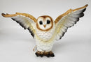 Owl, Tan Wings Extended