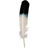 Feather, Eagle (painted turkey)
