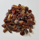 Petrified Wood - Chips - ForHeavenSake