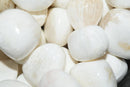 Scolecite - Tumbled