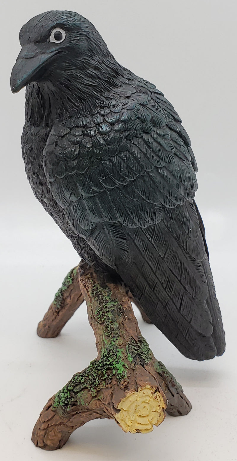 Raven, Branch