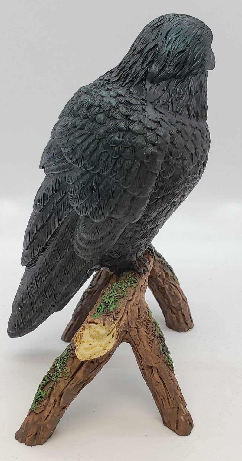 Raven, Branch