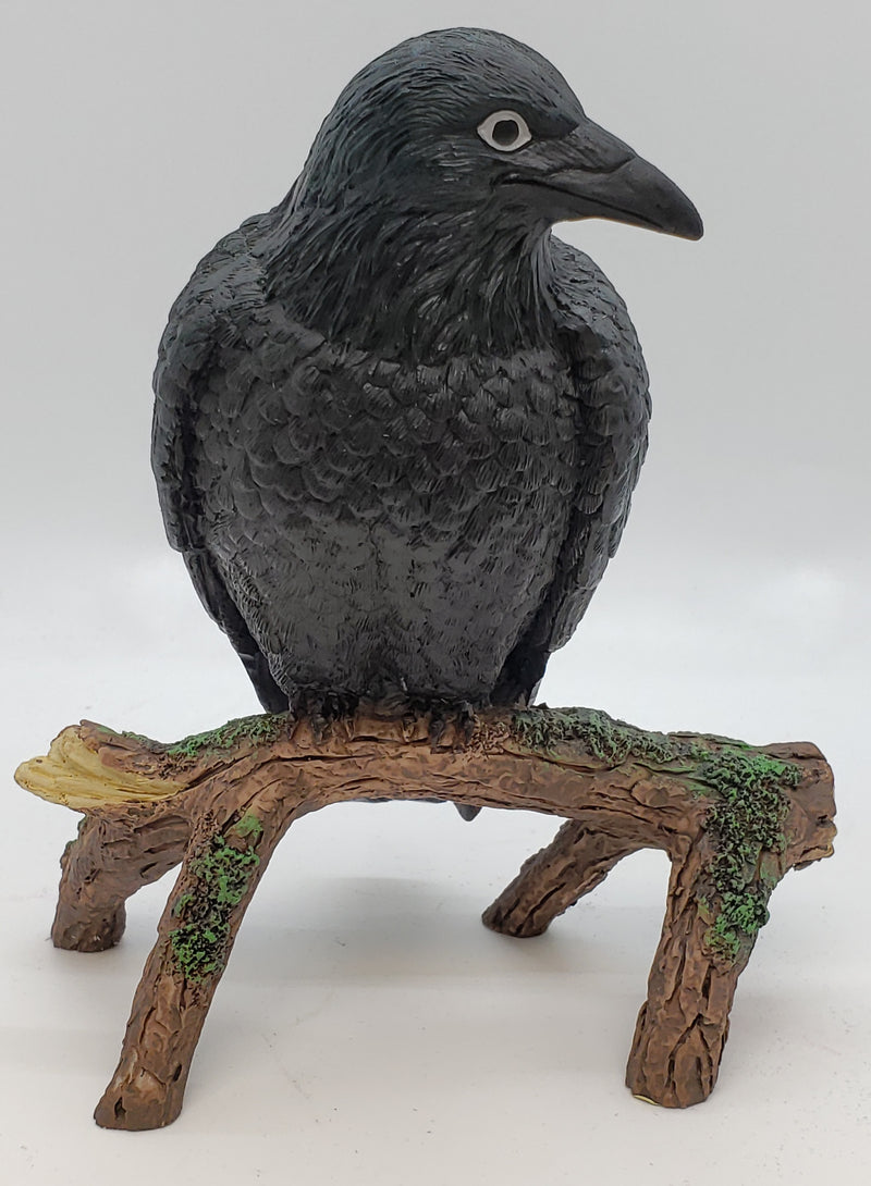 Raven, Branch