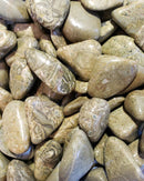 Jasper/Green Lace - Tumbled