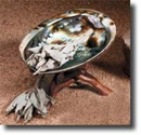 Abalone Shell