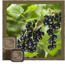 Candle, 4oz. Travel Tin Soy