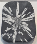 Chrysanthemum Stone - Palm