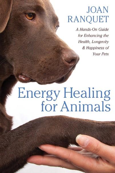 Energy Healing for Animals (Quality Paperback)