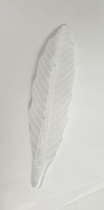 Feather, Selenite