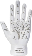 Hand, Palmistry for Palm Readi