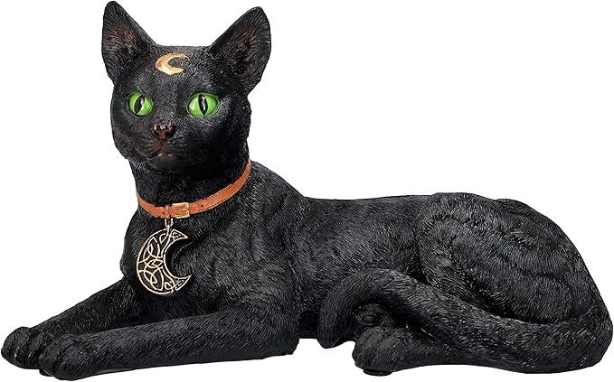 Cat, Black Cat Laying