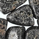 JASPER/CHRISTMAS FLOWER - Tumb