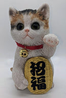 Cat, Lucky, w-Bell White/Tan &