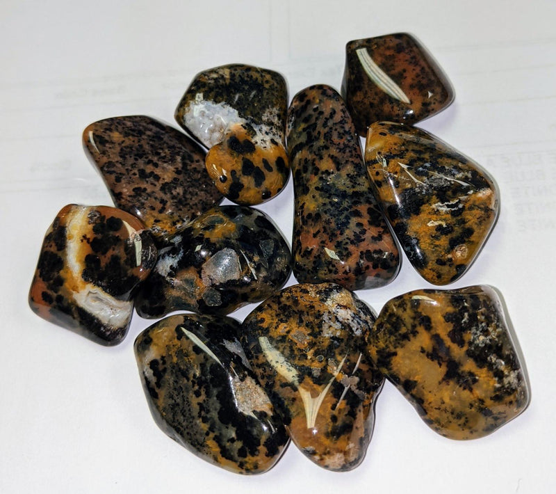 AGATE/CHEETAH - Tumbled MD