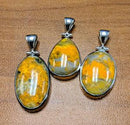Pendant, Bumble Bee Jasper,