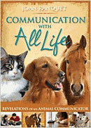 Communication w/All Life (Q)