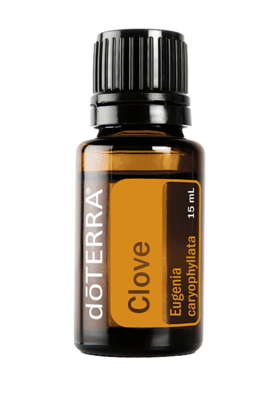 Oil, Clove 15ml DOTE