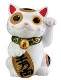 Cat, Maneki Neko Color