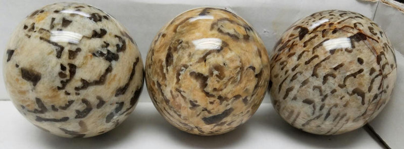 Sphere, Zebradorite 2.5in.