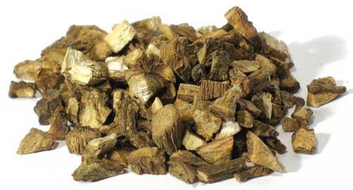 Herb, Burdock 1oz.