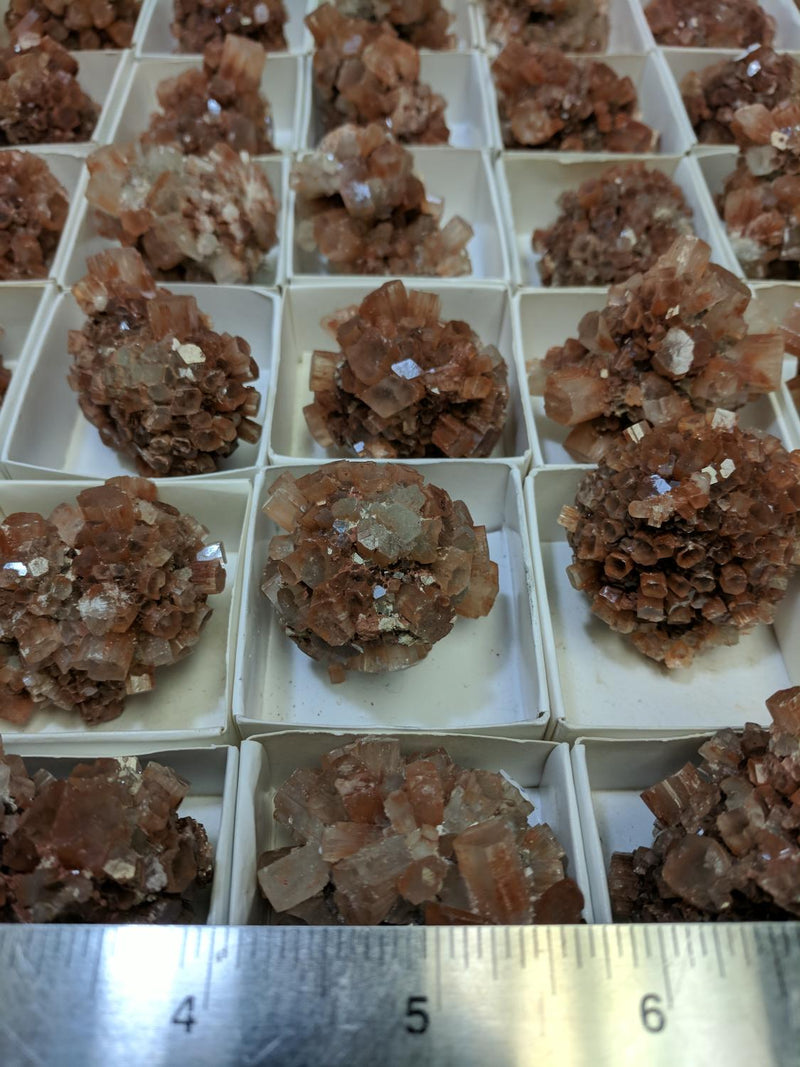 Aragonite/Red - Cluster SM