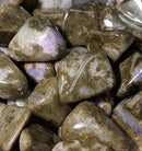 JADE/ZOESITE LG Wyoming - Tumb