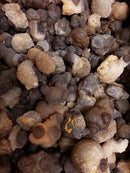 Chalcedony - Nodules