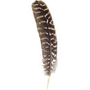 Feather, Turkey