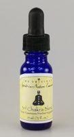 Spirit in Nature Essence 7 Chakra Blend Flower Essences