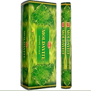 Incense Stk 20gr Moldavite Hex Box