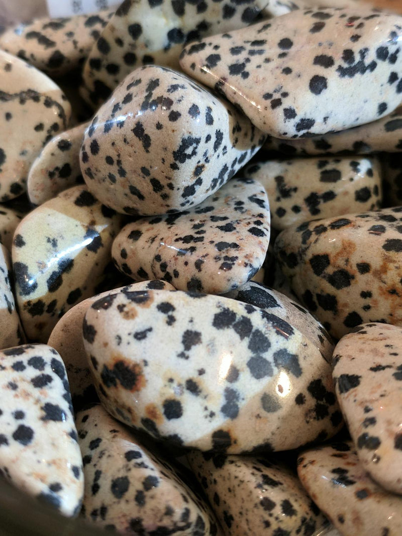 Jasper/Dalmation (Tumbled)