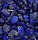 LAPIS LAZULI- Tumbled