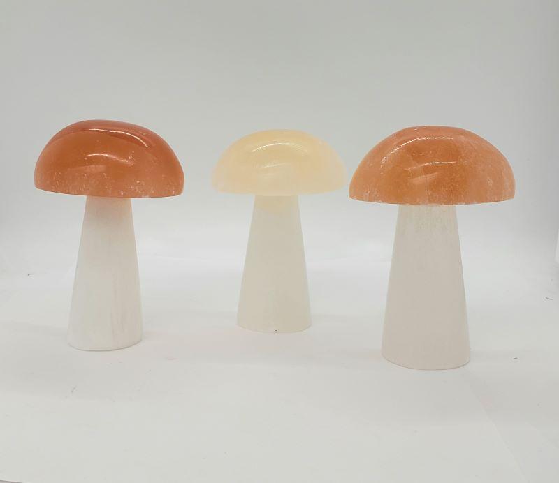 Mushroom, Selenite 4 in. Orange and White