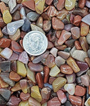 Petrified Wood - Chips