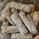 Sage, White/Fancy Small 4in.