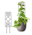 Trellis, Metal Moon Phase Plant