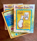 Turtle Wisdom Illumination Cards