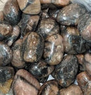 Chiastolite - Tumbled