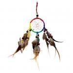 Dreamcatcher, 6.5in Rainbow