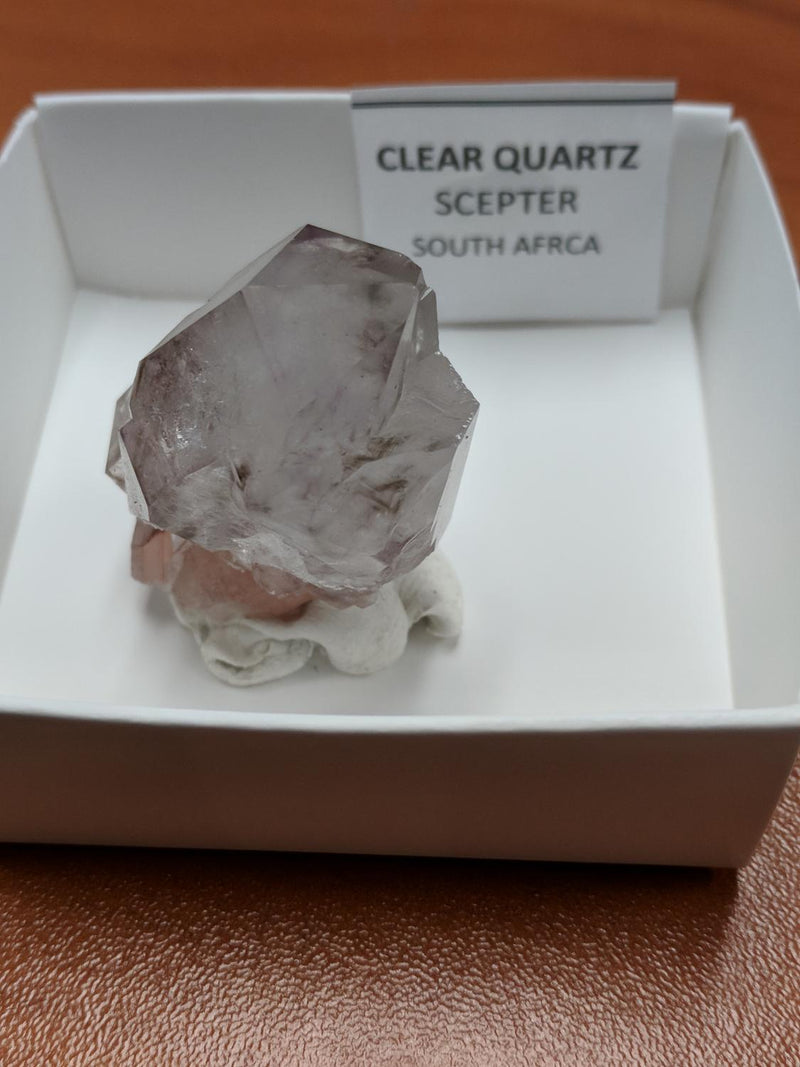 Quartz/Clear Scepter