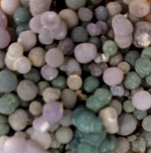 Chalcedony Grape Nodules -