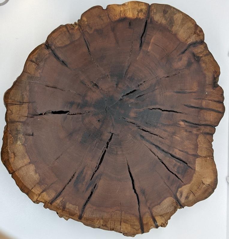 Plate, Shan Mu/Chiense Cedar