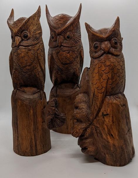 Owl, Standing on Stump,
