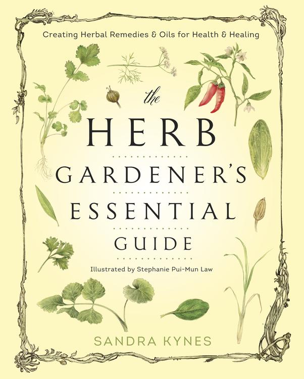 Herb Gardner's Essential Guide (Quality Paperback) by Sandra Kynes