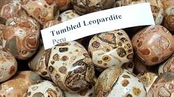 Jasper, Leopardite (Leopard Skin) - Tumbled