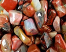 Petrified Wood - Tumbled - ForHeavenSake