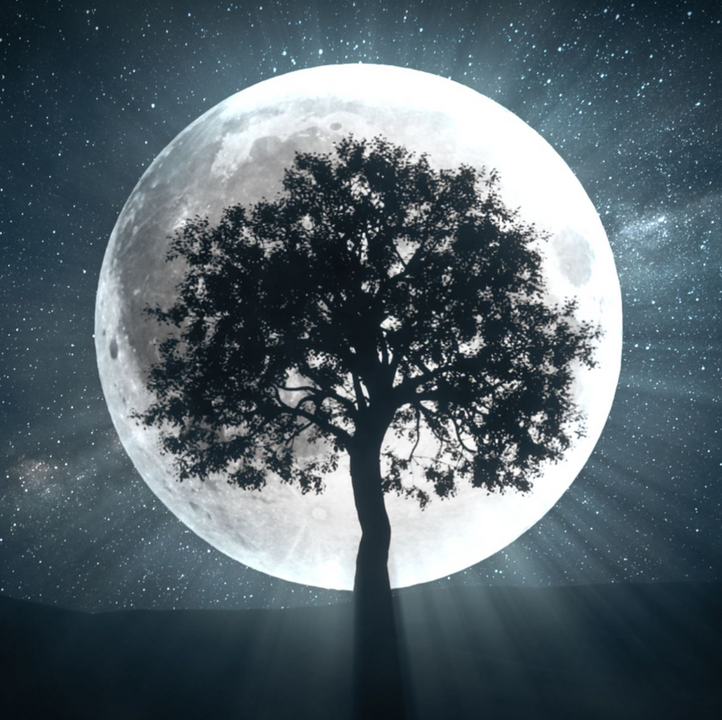 Full Moon Healing Circle- Healing Relationship Imbalances with Ky, Monday, March 25th