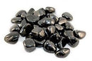 Shungite - Tumbled